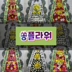 서울시 서초구 염곡동 화환 서울 염곡동 화환배달 염곡 당일 꽃배달 꽃배송 : 쏭플라워 무료꽃배달