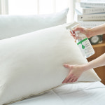 순숲 편백수 탈취제 피톤치드 스프레이 원액 500ml : 순숲