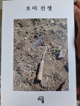 호미선생 도서 : 어성전 꽃밭