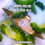 생여주 10kg 건여주 말린여주 판매 옹달샘농장 : 옹달샘농장2019