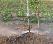 비료 물 야채 과일 나무 농약 스프레이 건 고압 살포 : 크고작은지구