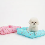 레드퍼피/쥬쥬쿠션 : REDPUPPY