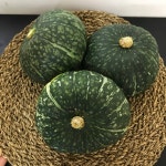 뉴질랜드 못난이 단호박 5kg 10kg : 금성농산