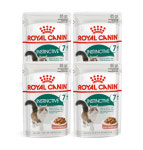 집사펫 - 인스팅티브 7+ 습식 파우치85g/뽁뽁이 포장 : 집사펫샵