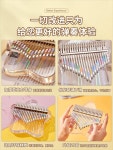 칼림바 투명 카림바 어쿠스틱 아크릴 크리스탈 엄지 피아노 KALIMBA 초보자 17음 전 : 바이쥬시