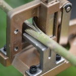 잔디가위 과일 나무 접목 도구 정원 가지 커터 전정 식물 가위 두꺼운 쉬어 박스 : 깡통마켓몰