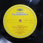 김영욱 멘델스존, 브루히 바이올린 콘체르토 Okko Kamu (LP) C0007 : 니어민트