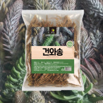 식용 건와송 100g 마른 토종와송 바위솔 : MISOJOA
