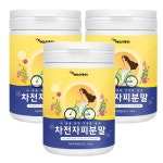 차전자피 100% 분말 가루 식이섬유 난소화성말토덱스트린 300gx3통 : 아름다움을 탐하다