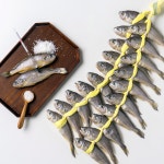 [희망일발송] 조기굴비 참조기 법성포 영광굴비 선물세트 : 금강굴비