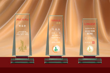 크리스탈트로피 상패공장 대회 우승 동호회 스포츠 시상식 주문 제작 m1 투명 소 : 상패공장