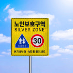 체육시설 양로원 경로당 주정차 차량 과태뵤 부과 안내 장애인 노인 보호구역 표시판 매립식 : 더바른사인