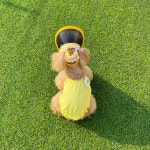 강아지바캉스옷 강아지프릴나시 : 옐리옐리