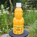 제주향 한라봉주스 천혜향주스 최근 만든 100%착즙 제주감귤주스 8병 귤하르방 : 순이와