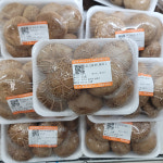 완주로컬푸드 배지 표고버섯 200g : 완주로컬푸드