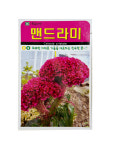 들잔디씨 나팔꽃씨 분꽃씨 무궁화씨 봉선화씨 백일홍씨 다알리아씨 맨드라미씨 사루비아씨 꽃씨모음 텃밭 주말농장 아람종묘 씨앗... 