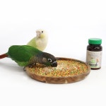 앵무새 영양제 넥톤 프리바이탈 220g 6대질병 나쁜균배출 유익균 도움 영양제품 용품 : 리프패럿