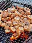 내고향막창 돼지막창 국내산 막창 캠핑 안주 음식 요리 막장포함 520g : 훈규네마켓