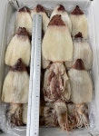 마른한치 한치 반건조한치 5마리 10마리 : 동광수산