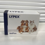 라이펙스(LYPEX) 정품 강아지,고양이 췌장효소 보충제 60캡슐 : 라온펫동물병원