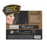 흰눈썹염색 새치커버틴트 스틱 마스카라 : HotTrend Store