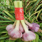 25년 서산 햇마늘 대서마늘 통마늘 밭마늘 저장용 한접 반접 : 서산팔도상회