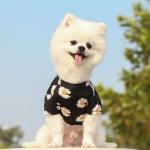강아지쿨조끼 여름  반려동물 강아지 티셔츠 조끼 봄 스타일 여행 프린트 반팔 소형 중형견 의류 여름옷강아지옷 : 샵오오
