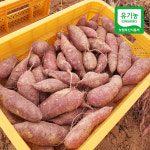 [산지직송] 무안 유기농 꿀고구마 3kg 5kg : 친환경팔도