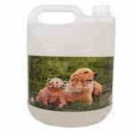 펫용품 향균 애완용품 체리쉬 탈취제 파우더향 4L 반려동물용품 : 스마트하니B