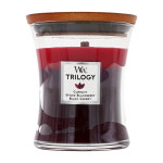 자캔들컵캔들 우드윅 트릴로지 캔들 미디엄 썬 라이픈드 베리 275 g Trilogy Candle Medium Sun Ripened Berries 9.7 oz : 건강할걸