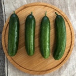 미니오이 스낵오이 1kg 2kg 3kg : 금성농산
