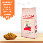 프시타쿠스 하이에너지 브리딩 12kg 대용량 앵무새 번식 전용 피타쿠스 펠렛 사료 : 앵무새용품 브리더스퀄리티