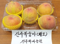 아삭하고 달콤한 황도복숭아/20개,24개/7월상순/진주하씨농원 : 진주하씨농원