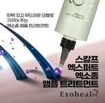 (탈모전문) 엑소힐 엑소좀 탈모기능성 헤어세트 병원입점제품 : 지야뷰티몰