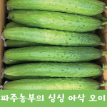 2023년 못난이 오이지 오이소박이용 오이 판매합니다. 당일발송 산지직배송 지민농장 : 지민농장-파주농부