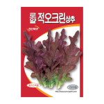 상추씨앗 로얄적오크린상추 1500립 진한 적색의 쌈채 : GT라인