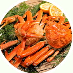 대게 박달 러시아 자숙 활 특A급 오늘특가 1kg, 1개 : 동해알찬수산