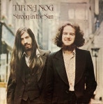 Tir Na Nog - Strong in the sun (LP) 티어 나 노그 : 브리티쉬 레코드