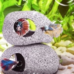 물고기집 수족관장식품 구피은신처 놀이터 수조돌 어항 베타 : COLON:P