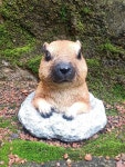 미니어처 야외 정원 장식 Dearhole Groundhog 동물 안뜰 테라스 발코니 : 와이디닷컴