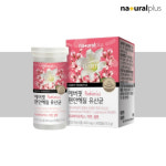 질유산균효과 질유산균 에버핏편안해질유산균 플랜타럼 : 몽글몽글상회