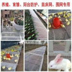 울타리 망 휀스 플라스틱 사육 닭 우울 발 패드 누출 비료 플랫 메쉬 작은 구멍 양봉 코 : JS12