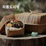 제주 웰니스 치유의숲 라이브방송 : 퐁낭아래