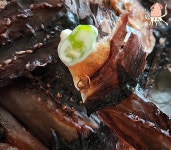 금창수산 말랑 망족 2마리 200g : 금창수산