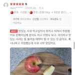 청송 영주사과 홍로 아오리 껍질채먹는 고당도 문경 안동 아삭한 사과 2,3,4,5kg : 봉씨네농장