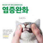 루미펫 캣따비 - 캣닢 마따따비 고양이 마약스프레이 구내염 예방 스트레스 해소 : LumiPet