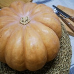 늙은호박 맷돌호박 2kg 이상 1통 : 금성농산