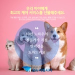 펫시터데이케어 펫시터1박케어 펫시터하루케어 펫시터방문돌봄 펫시터방문 펫시터위탁 펫시터돌보미 : 온누리컨설팅