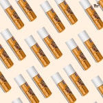 더블리스풀독 샤이니 노우즈 버터 강아지 코 보호 보습 영양제 : 심콩 : 스토어