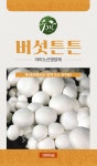 버섯튼튼 : 주식회사 수그린